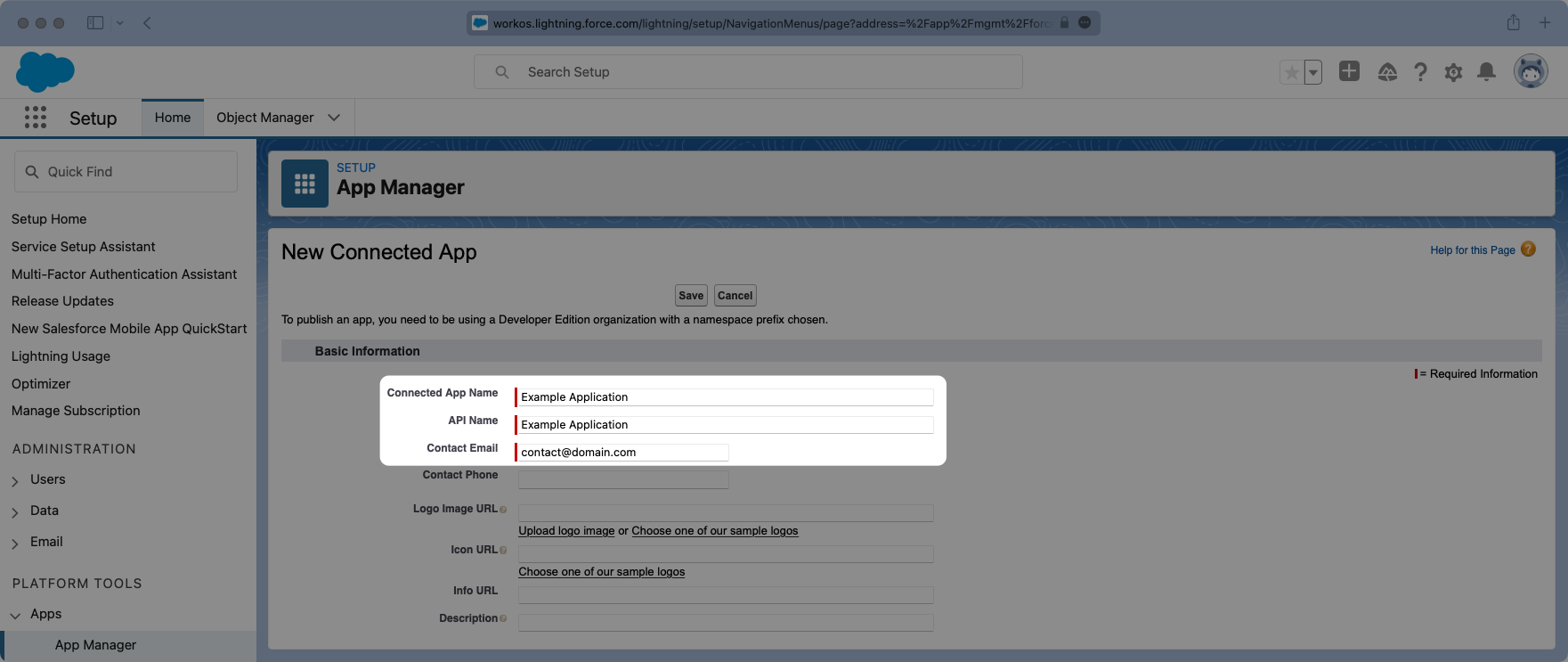 A screenshot showing how to configure the name and contact email for the new Connected App in the Salesforce dashboard.