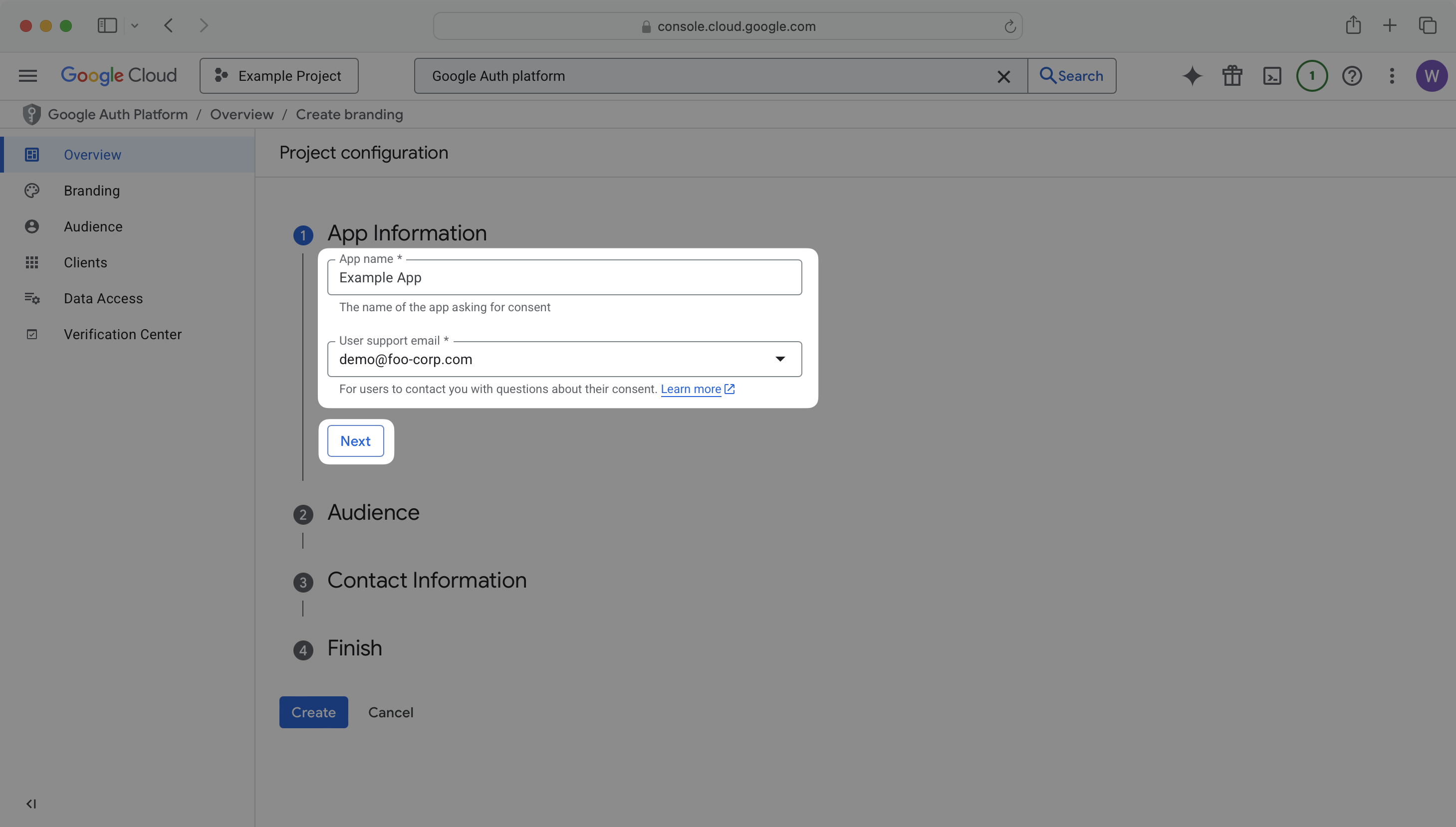 OAuth consent screen App Information step with app name and user support email fields