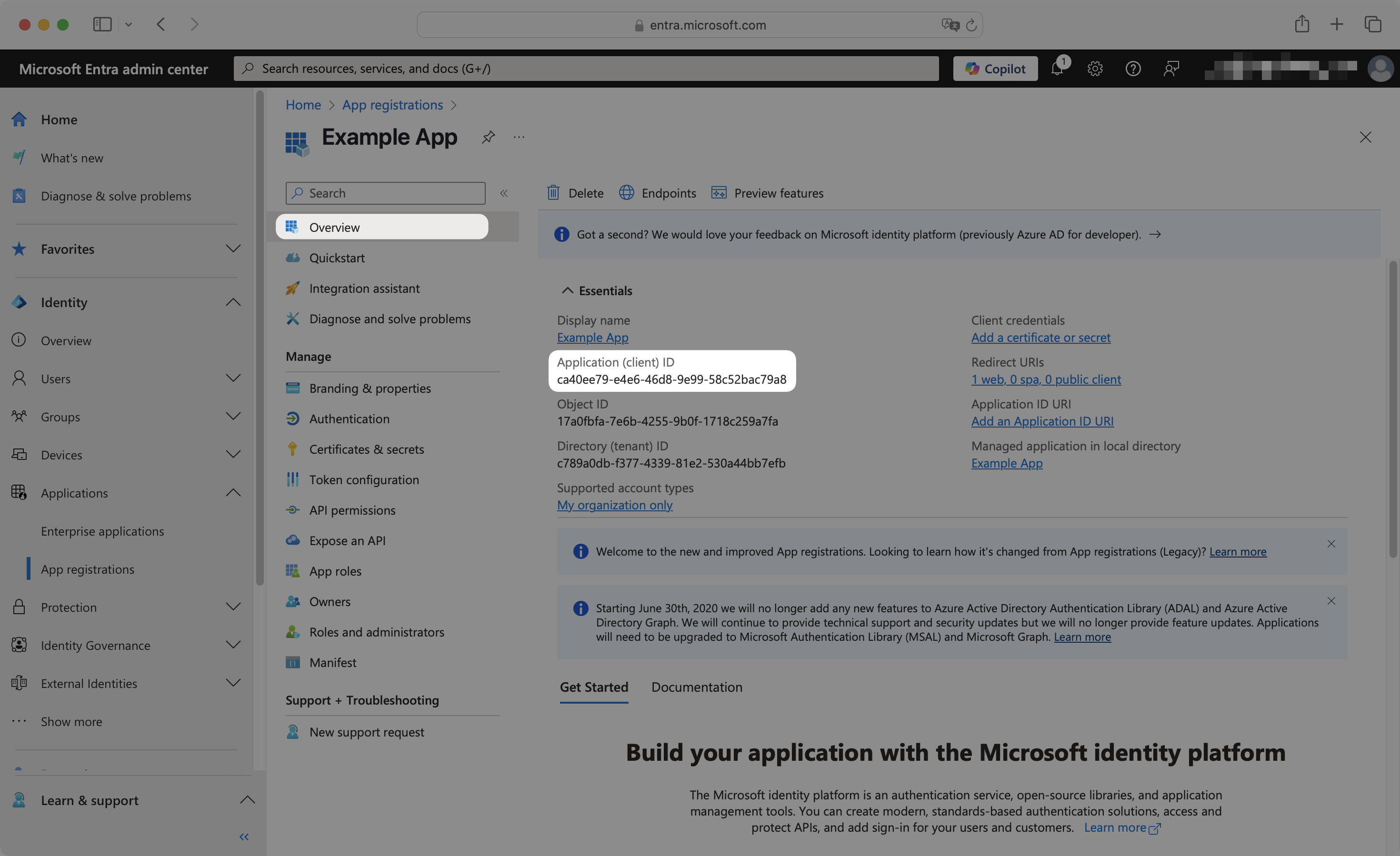 Entra ID application Overview page showing Application (client) ID field