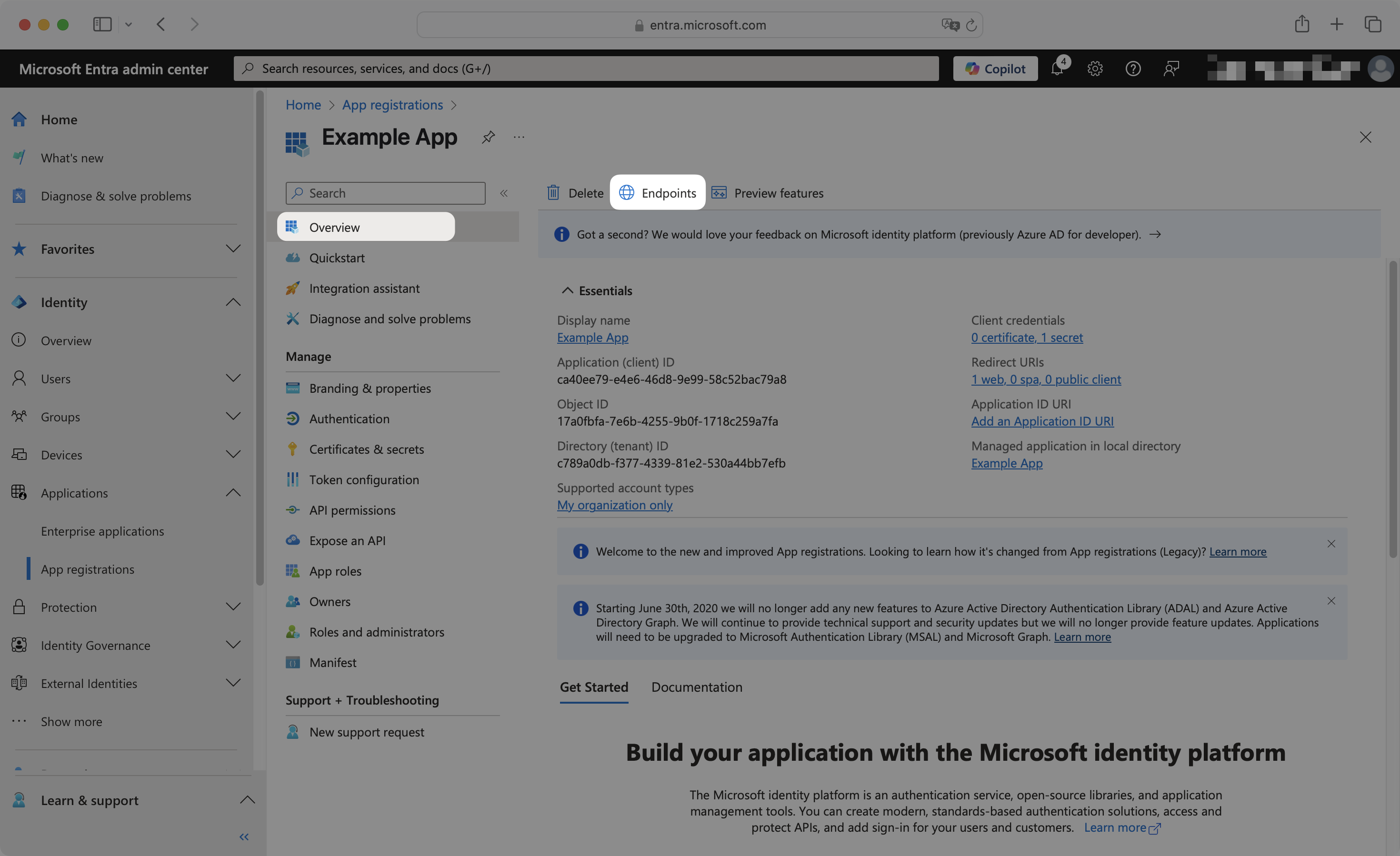 Entra ID application Overview page with Endpoints tab highlighted